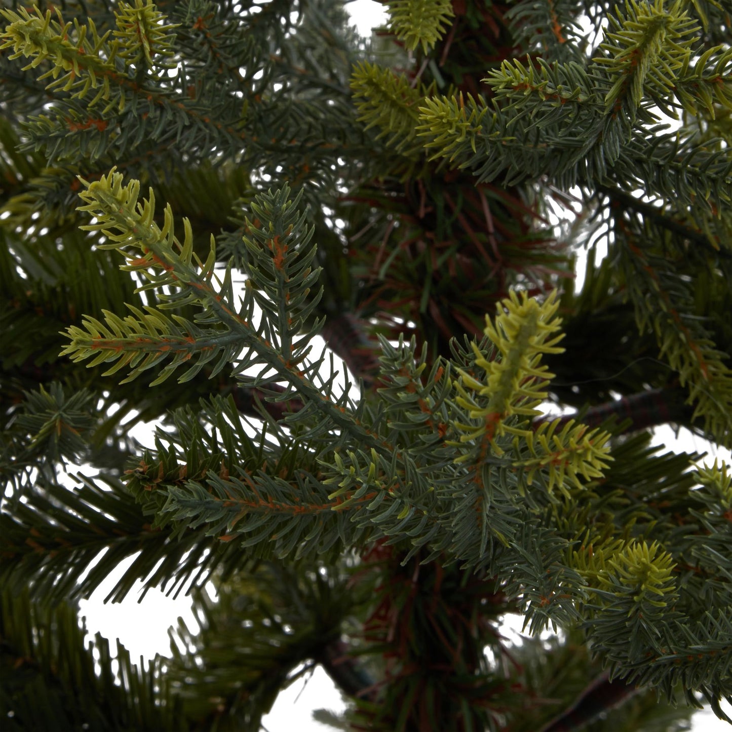 Potted Natural Pine Tree