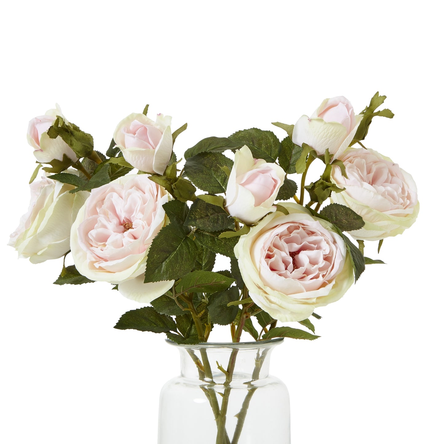 The Natural Garden Collection Pink Charity Rose